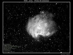 NGC2175